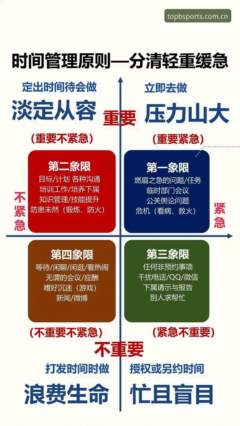 B体育平台使用教程深度评测：从安装到实战的全流程技术解析